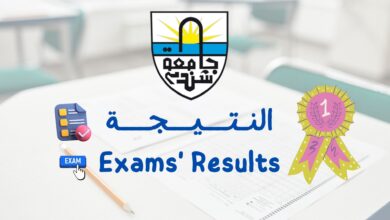 كلية الاقتصاد والعلوم الإدارية - جامعة شندي - Shendi University - Faculty of Economic and Business Administration