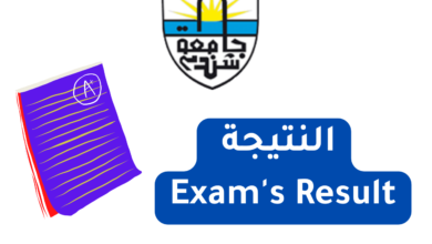 كلية الاقتصاد والعلوم الإدارية - جامعة شندي - Shendi University - Faculty of Economic and Business Administration